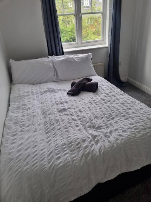 Maidstone Villa 3 Bedroom Free Sports Channels,Parking Sleeps 7 Экстерьер фото